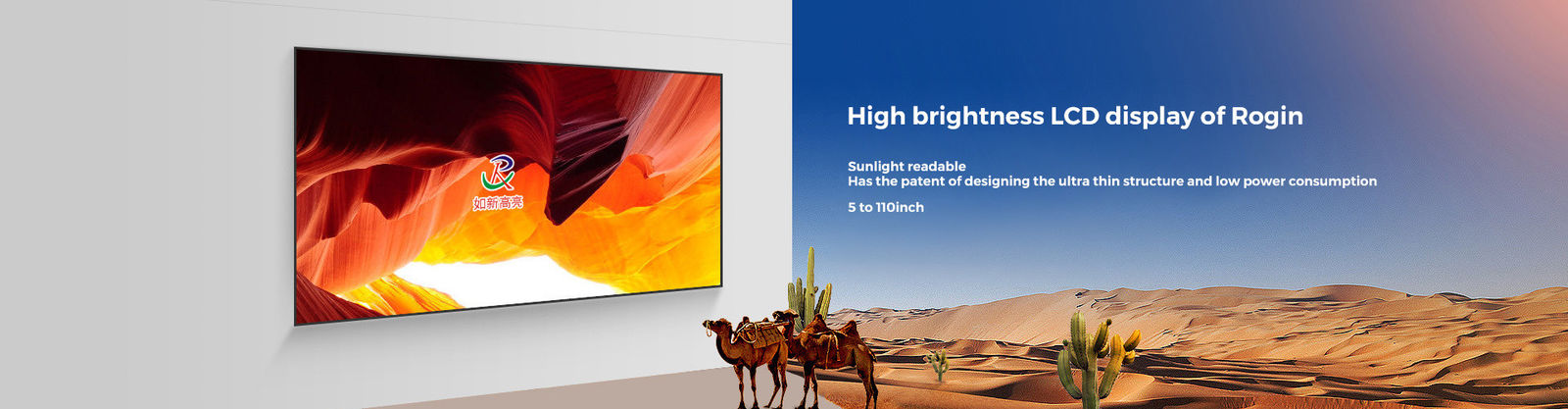 Esposizione LCD di alta luminosità