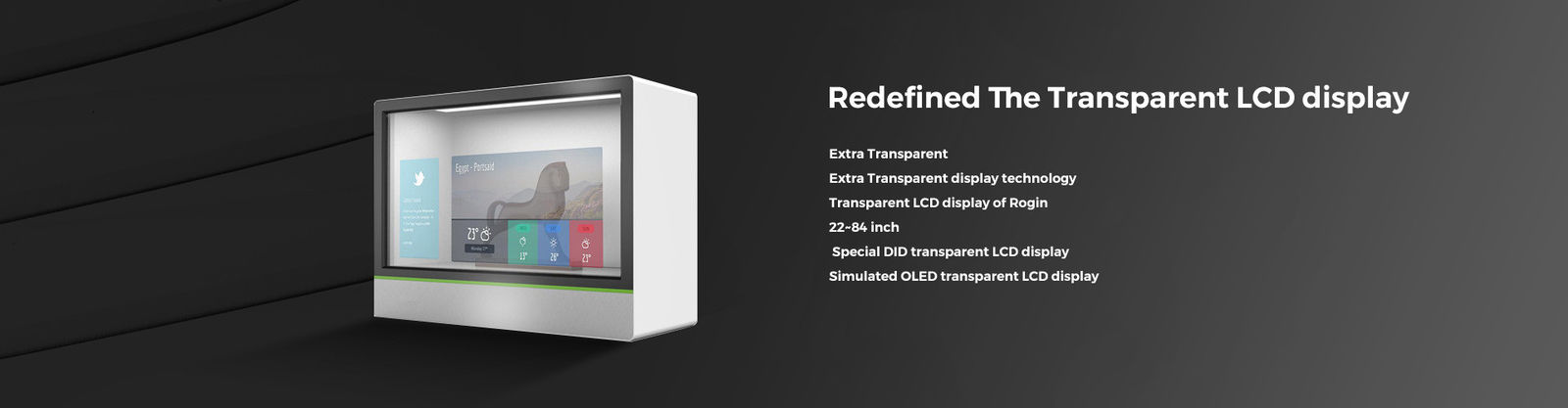 Esposizione LCD trasparente