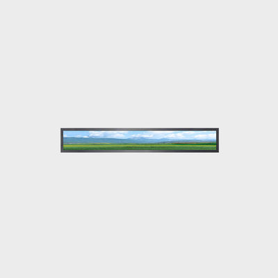 36Display LCD a barre da.65 pollici 1920*226 LVDS 1000nits