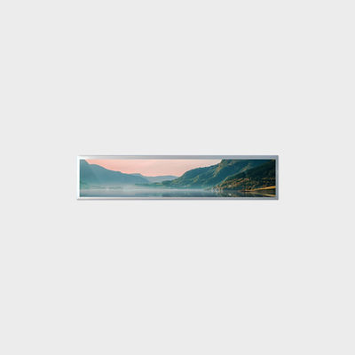 19.2 pollici Display LCD a barre 1920*360 LVDS 500nits