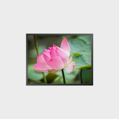 34.3 pollici quadrato pannello LCD 1856 * 1420 1500 Nits Display LCD Modulo