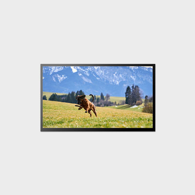 Display LCD da 23,8 pollici Supporto per applicazioni esterne con connettore interfaccia LVDS LCMA-RX0238GA01-C150