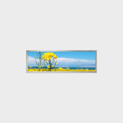 19.4 pollici TFT LCD Display Solution con 1920 * 510 Supporto di personalizzazione Smart Home Application