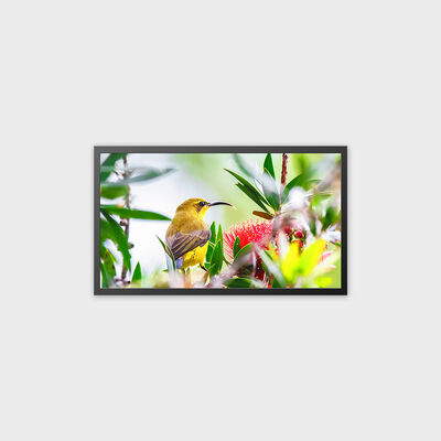Display pubblicitario LCD TFT da 32 pollici Soluzione ad alta luminosità da 4000 nit