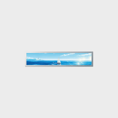 Segnaletica per sala espositiva con supporto per applicazioni interne TFT LCD da 19,2 pollici