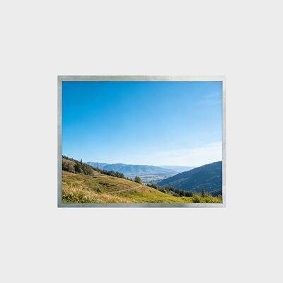 Display LCD TFT da 12,1 pollici supporta il progetto ambientale ad alta temperatura.