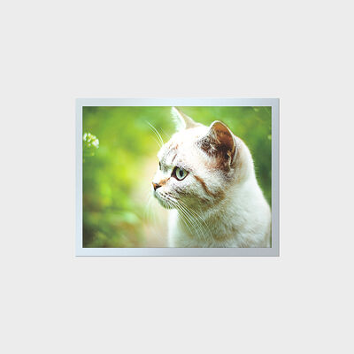 LCD TFT da 15 pollici ad alta luminosità e lunga durata per cruscotti industriali