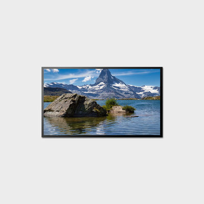 10.1-98" Panel Size High Brightness LCD Display with 700-5000 Typ. Brightness