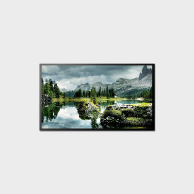 10.1-98" Panel Size High Brightness LCD Display with 700-5000 Typ. Brightness