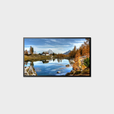 10.1-98" Panel Size High Brightness LCD Display with 700-5000 Typ. Brightness