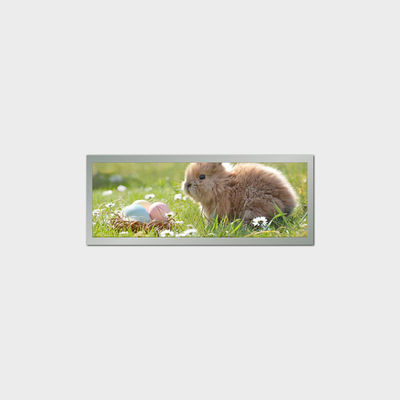 High Brightness Bar Type LCD Display in 9-88" Panel Size and 500-2500 Typ. Brightness