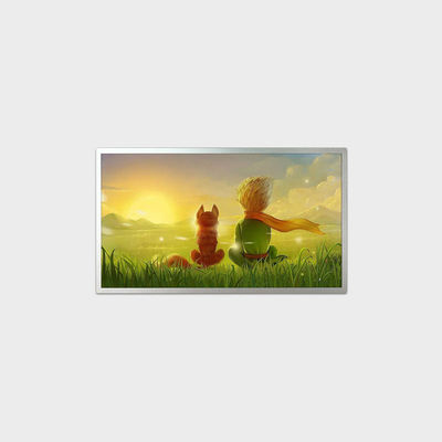 18.5 inch LCD Display with Outline Dimension 431*255*9.2mm 1920*1080 Resolution and 0-50C LVDS LCMA-RX0185GB10-C050