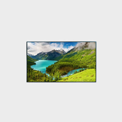 Display LCD ad alta luminosità da 49 pollici 1920*1080 LVDS 2500nits per ampia gamma di temperature