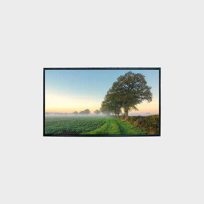 Esperienza immagini nitide e chiare con display LCD ad alta luminosità da 43" 1920*1080 LVDS 1500nits