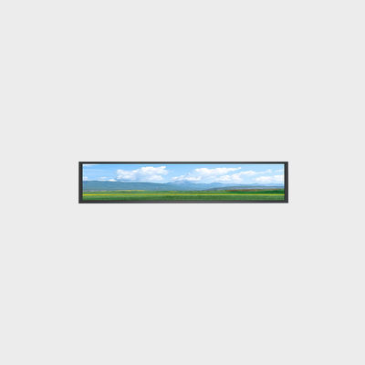 36Display LCD a barre da 0,95 pollici 1920*360 LVDS 1000nits