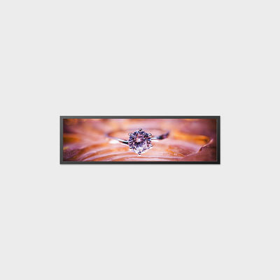 19Display LCD a barre da 0,5 pollici 1920*536 700nits LVDS LCD Screen Alta anti-vibrazione