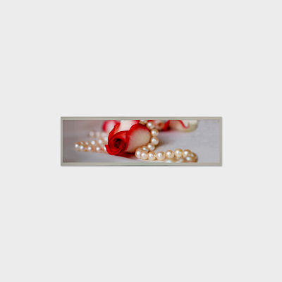 19.4 Inch Bar LCD Panel 1920*510 LVDS 1000 Nits Screen per segnaletica commerciale