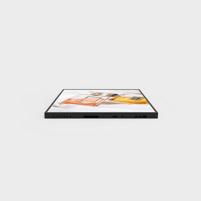 Display LCD da 22 pollici 1920*1920 400nits