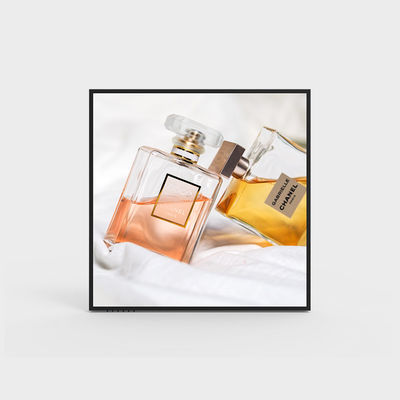 Display LCD da 22 pollici 1920*1920 400nits