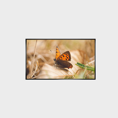 Pannello LCD da 43 pollici 2000nits 1920*1080 LCMA-RX0430GL13-Z200