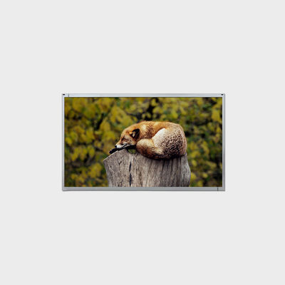 Soluzione ad alta luminosità da 15,0 pollici 1024*768 LVDS con 1000nits LCMA-RX0150GI02-C100