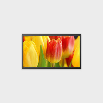 32 pollici TFT LCD Macchina ricaricabile Supporto Android 13.0 Sistema