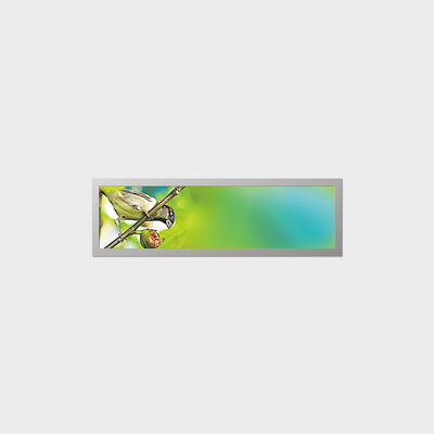 Display LCD TFT a barra da 19,4 pollici con personalizzazione del supporto a basso consumo Ppower