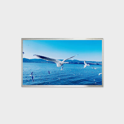 Soluzione LCD TFT da 13,3 pollici Soluzione di luminosità 800 nit Ampio display della temperatura