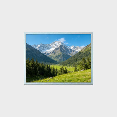 Display LCD TFT da 15 pollici con risoluzione 1024*768 Supporto -30~80°C Soluzione