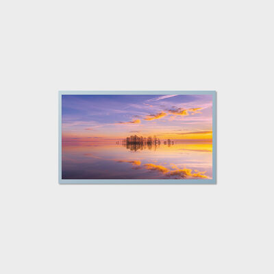 Soluzione industriale di medie dimensioni con display LCD TFT da 21,5 pollici con supporto 1000 nit all'aperto.