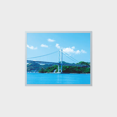 Display LCD TFT da 19 pollici con risoluzione 1280*1024 con area industriale ad ampia temperatura