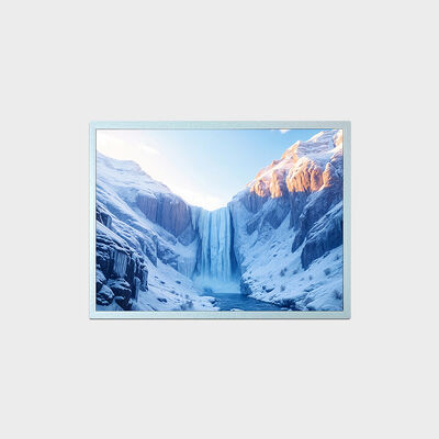 Soluzione con display LCD ad alta luminosità da 15 pollici con rapporto contrattuale 2000:1