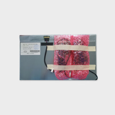 LCD ad alta luminosità da 13,3 pollici per soluzioni industriali con risoluzione FHD