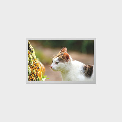 Display TFT da 12,1 pollici con LCD a basso consumo energetico per dispositivi medici portatili