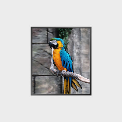 Pannello LCD quadrato ad alto contrasto 35,6 pollici 950*1080 500nit Con sistema Android