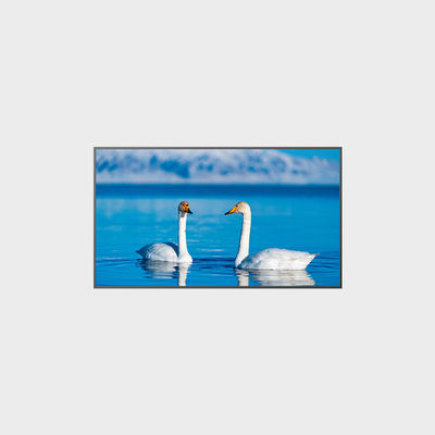 Pannello LCD ad alta luminosità da 65 pollici 1920*1080 2000nits LCMA-RX0650GB08-Z200