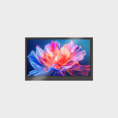Display LCD medio e piccolo da 7,0 pollici Display RGB 1024 * 600 con pannello a sfioramento