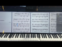 49Display LCD a barre da 0,5 pollici LCMA-RX0495TL01-C025 Soluzione di luminosità da 2500 Nits